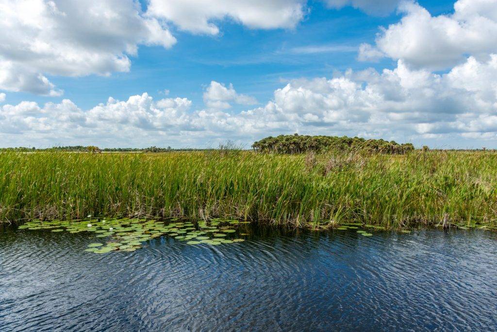 Three Forks Conservation Area shore