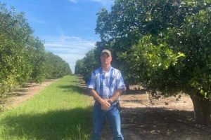 lemon-grove