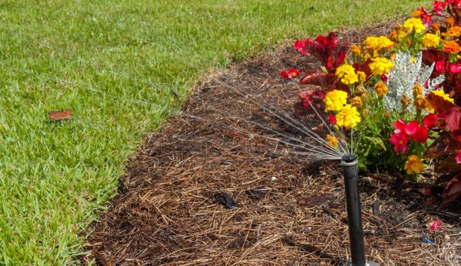 Lawn sprinkler