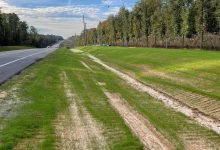 Stretch of newly planted grass by a road