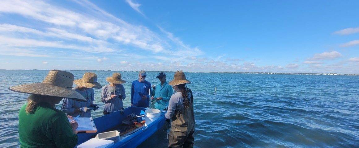 Six District employees working in a water body