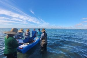 Six District employees working in a water body