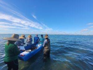 Six District employees working in a water body