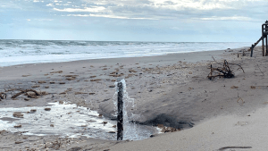 flowing artesian well