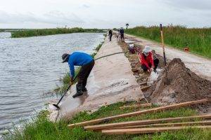 Workers working at a shoreline