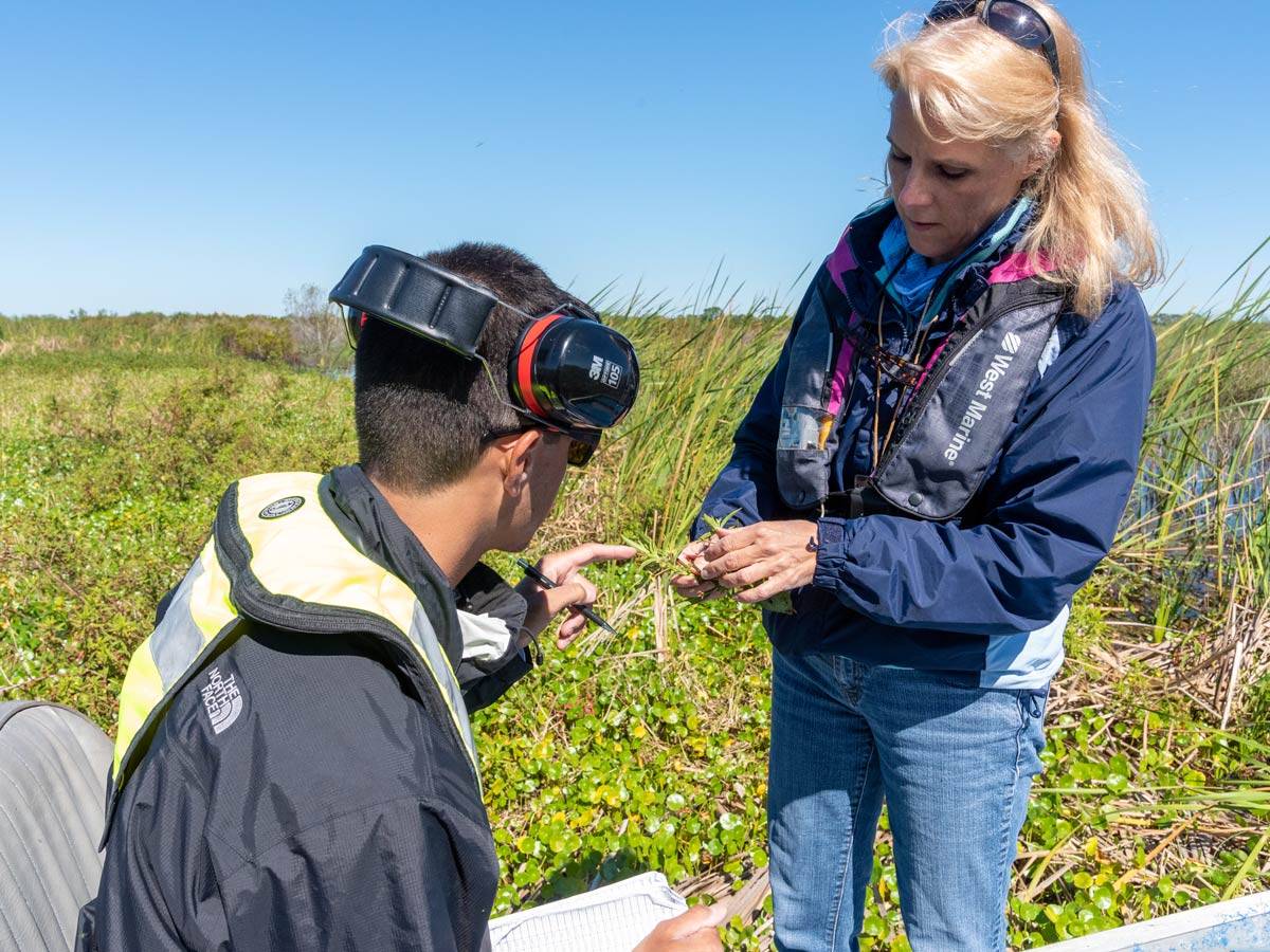 2 People examine vegetation