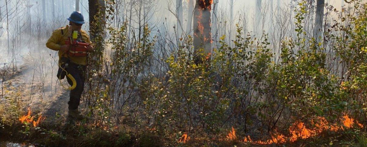 Small fire near a creek
