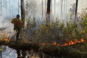 Small fire near a creek