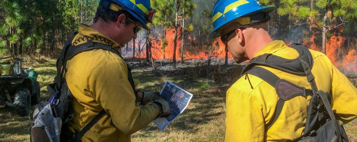 2 men looking on a map