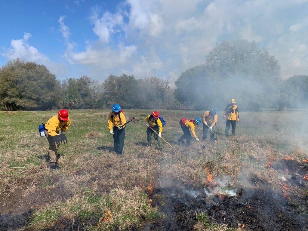 A line of district employees working next to a small fire