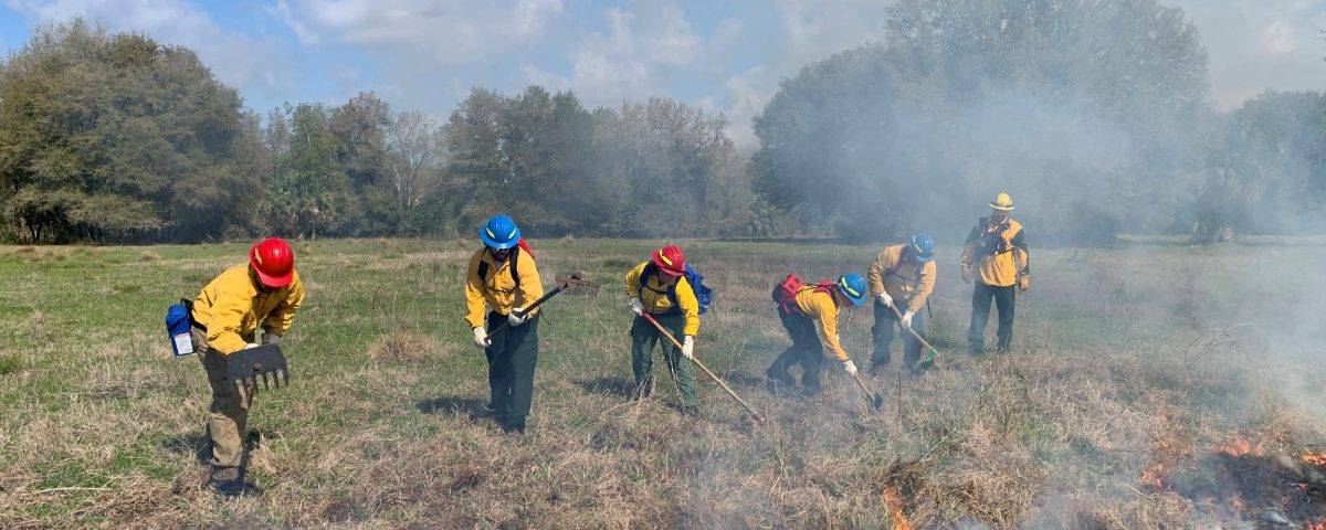 A line of district employees working next to a small fire