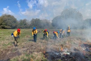 A line of district employees working next to a small fire