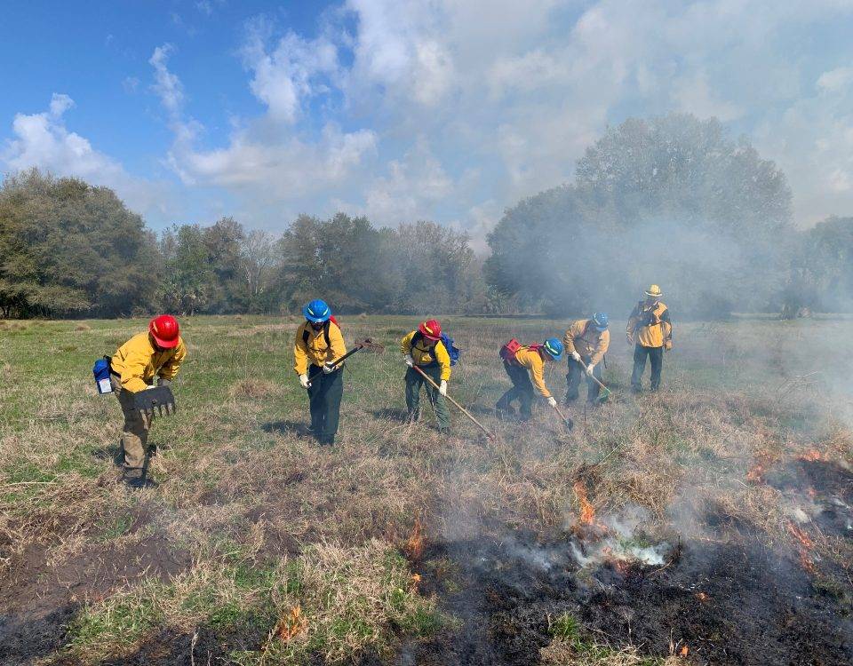 A line of district employees working next to a small fire