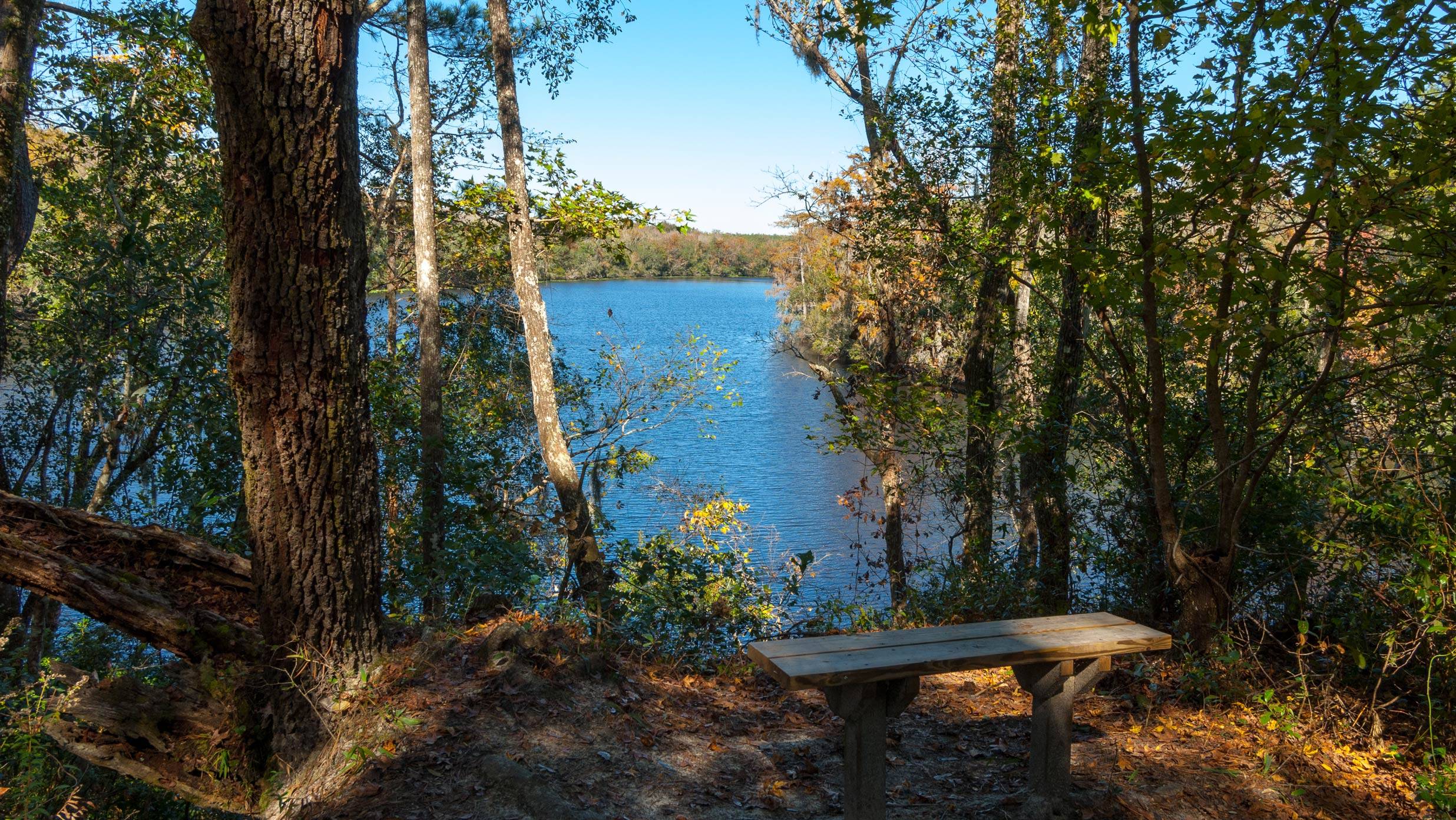 Small bench at an overlook of a creek