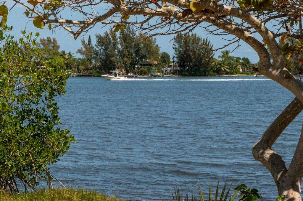 View of Indian River Lagoon from the shore