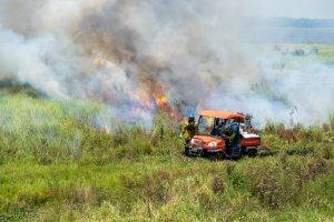 two district employees next to a prescribed fire