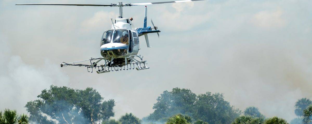 Helicopter igniting a prescribed fire