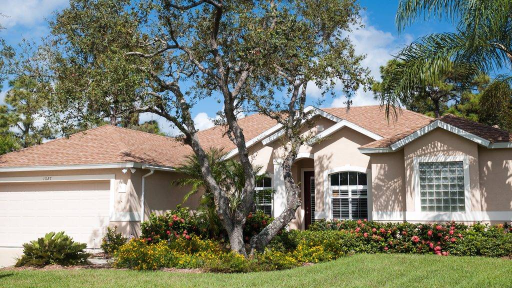 House with a landscaped front yard featuring an oak tree
