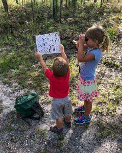 Children with binoculars looking for birds