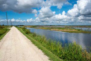 Lake Apopka Wildlife Drive stretching out next to open water