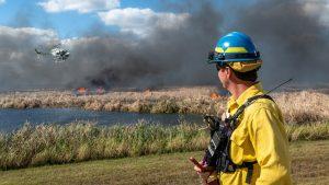A land manager watching a helicopter ignite a prescribed fire in a marsh