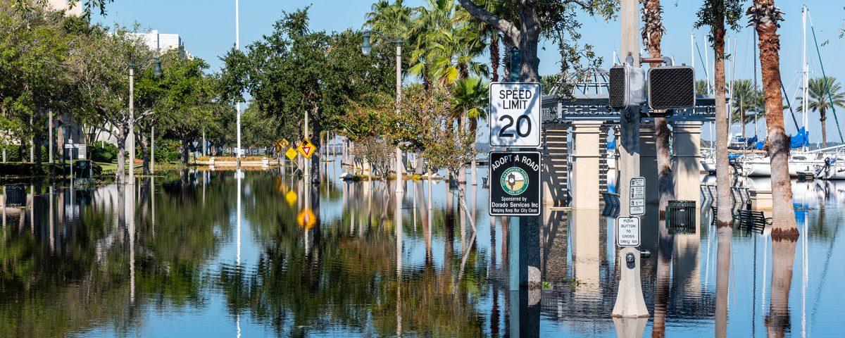A flooded street with speed limit sign.