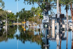 A flooded street with speed limit sign.