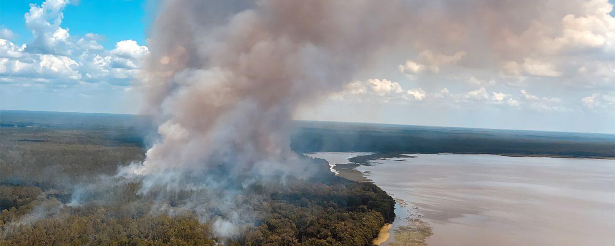 Aerial view of a prescribed fire along the edge of a large lake