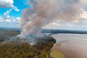 Aerial view of a prescribed fire along the edge of a large lake