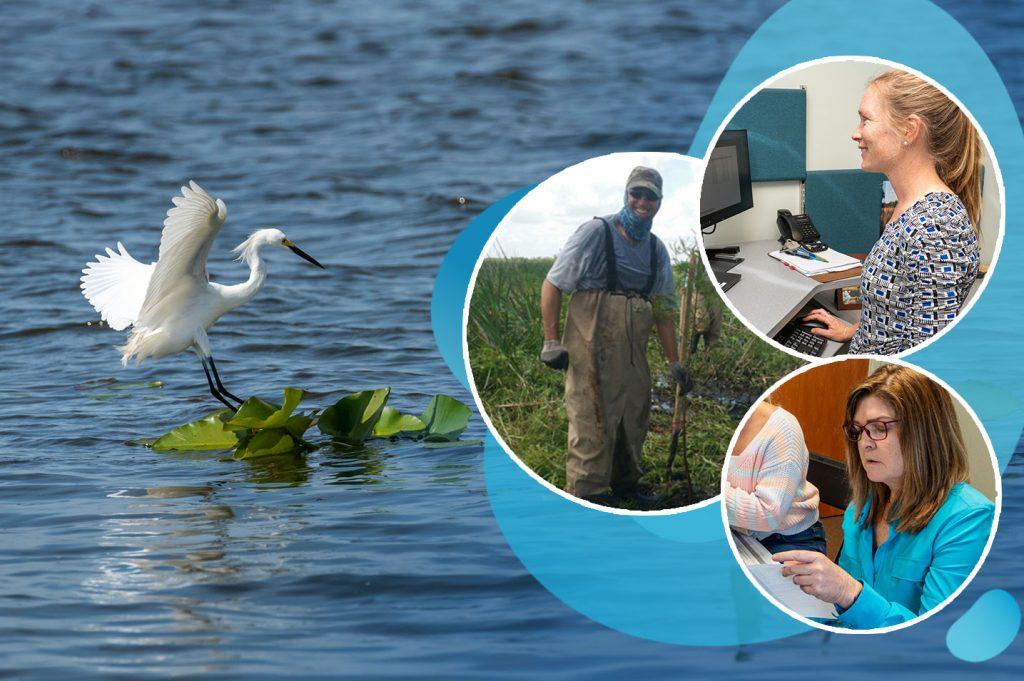In celebration of Conservation Professionals Week, we’re shining a spotlight on the incredible team at the St. Johns River Water Management District.