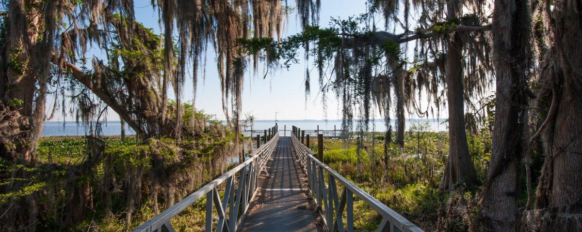 Lake Lochloosa walking bridge