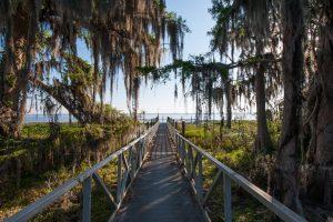 Lake Lochloosa walking bridge