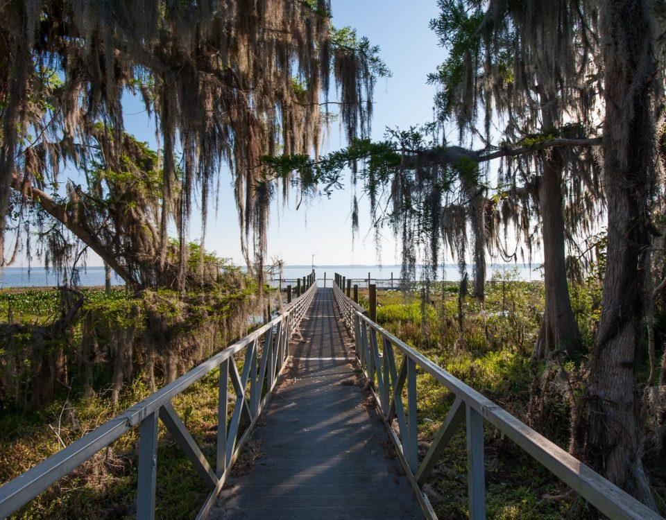 Lake Lochloosa walking bridge