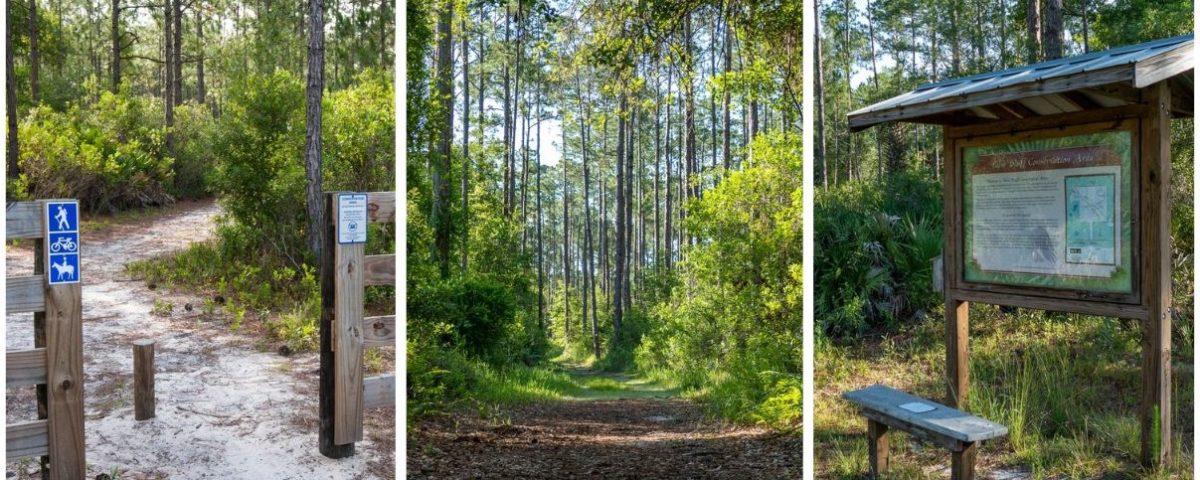 Three photos of the Palm Bluff Conservation Area