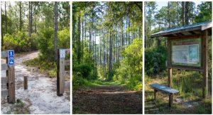 Three photos of the Palm Bluff Conservation Area