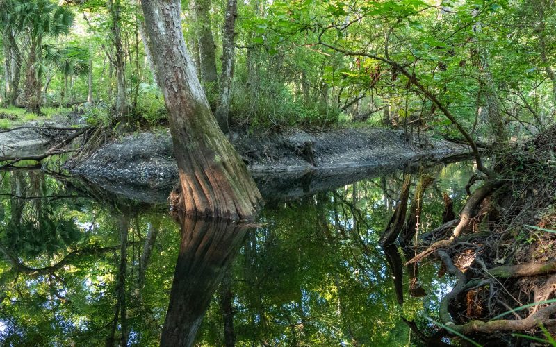 Hal Scott Regional Preserve and Park Hal Scott Regional Preserve and Park
