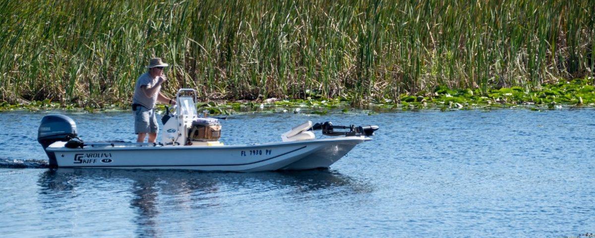man navigating a boat in a body of water surrounded by tall cat tails