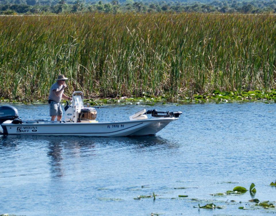 man navigating a boat in a body of water surrounded by tall cat tails
