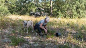 a woman digging up a plant to be rescued with a dog behind her