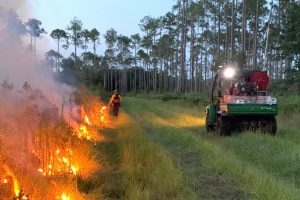 Prescribed Fire