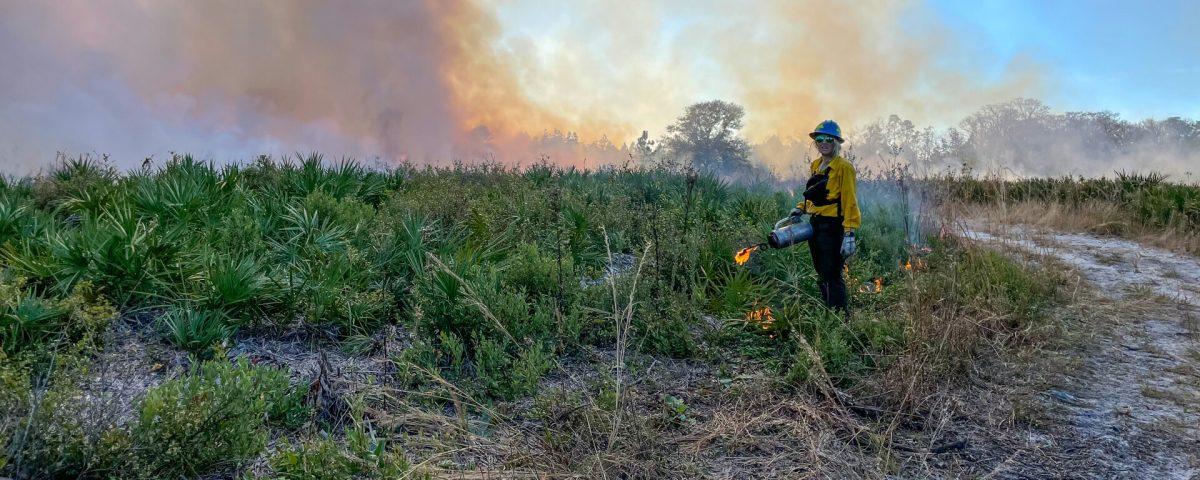 Worker stands near foliage with ignition tool.