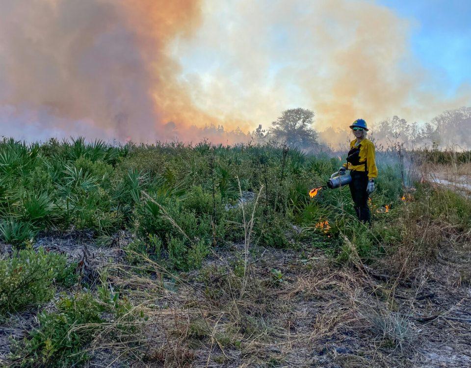 Worker stands near foliage with ignition tool.
