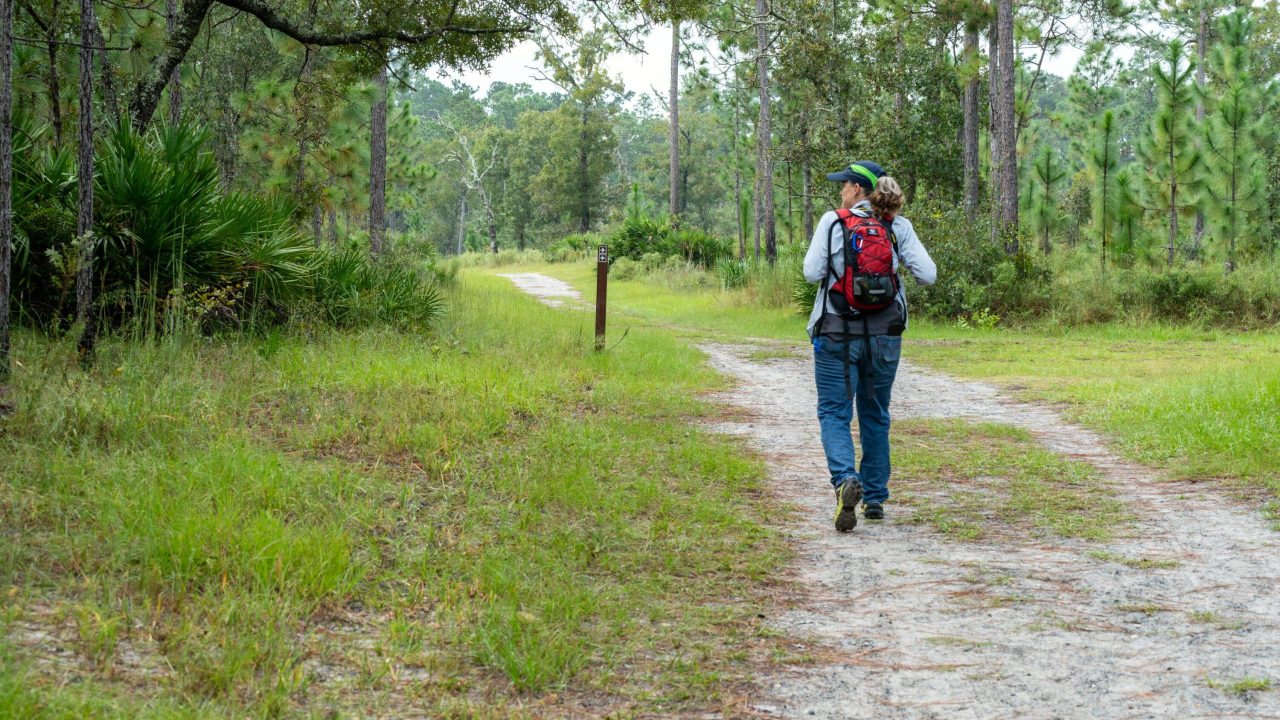 Julington-Durbin Preserve