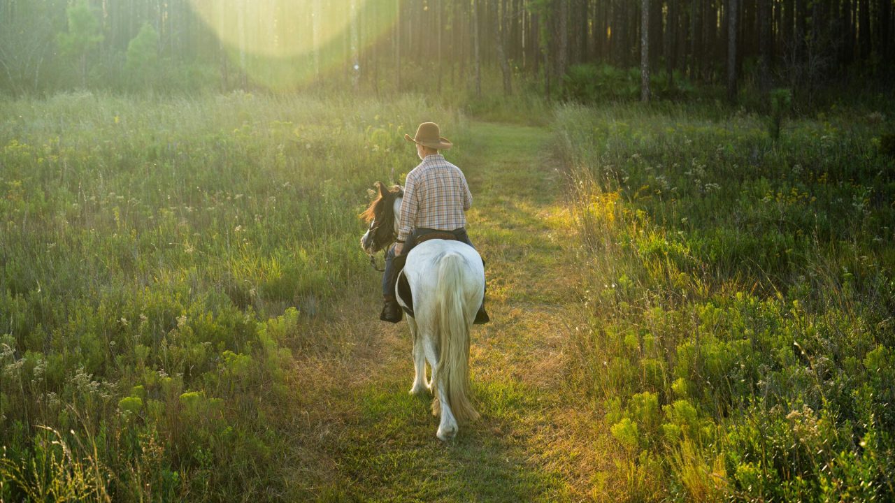 Horseback Riding at Black Creek Ravines Conservation Area