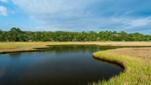 stokes landing conservation area