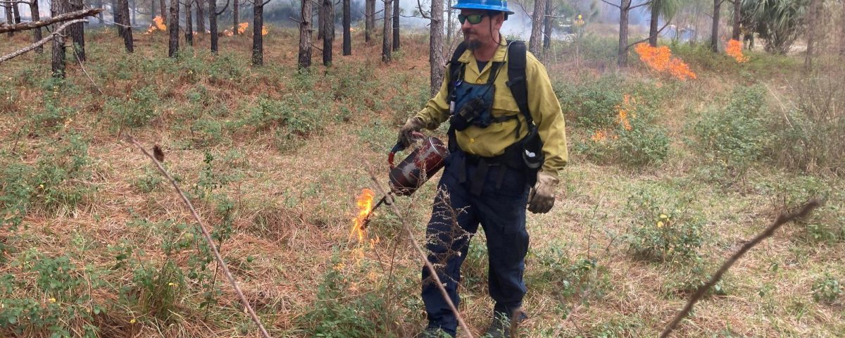 Man walking in wooded area with fire equipment and safety gear