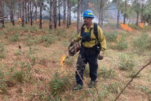 Man walking in wooded area with fire equipment and safety gear
