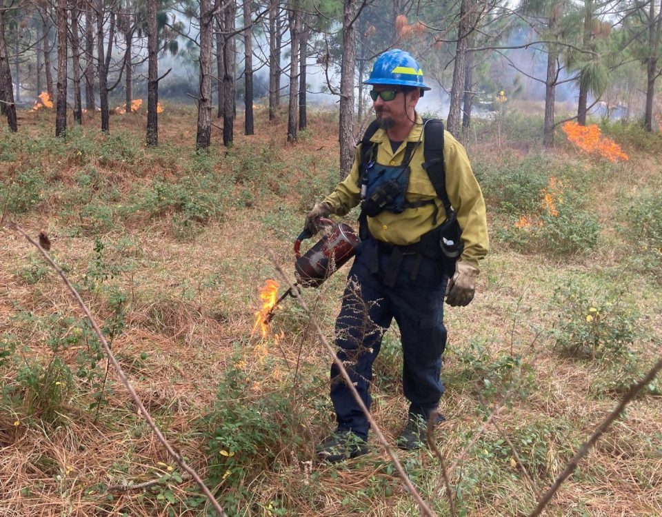 Man walking in wooded area with fire equipment and safety gear