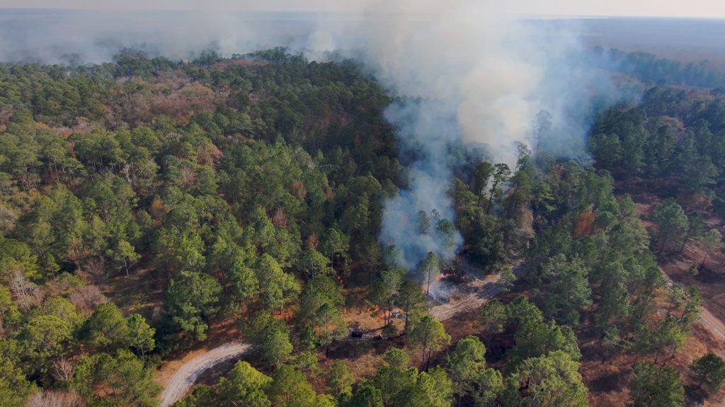 Aerial image of prescribed fire in wooded area