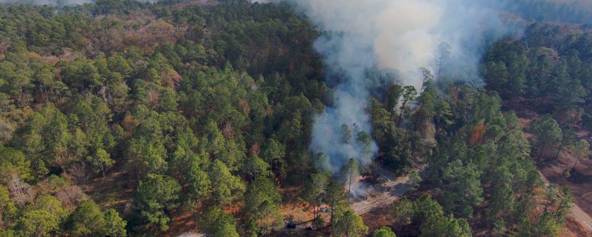 Aerial image of prescribed fire in wooded area